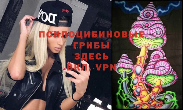 индика Арсеньев