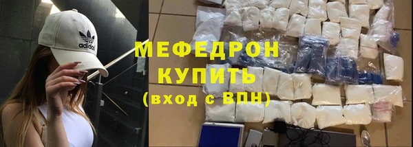 индика Арсеньев