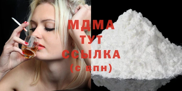 индика Арсеньев