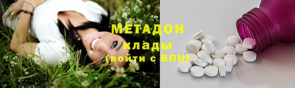 индика Арсеньев