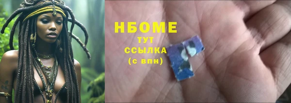 индика Арсеньев