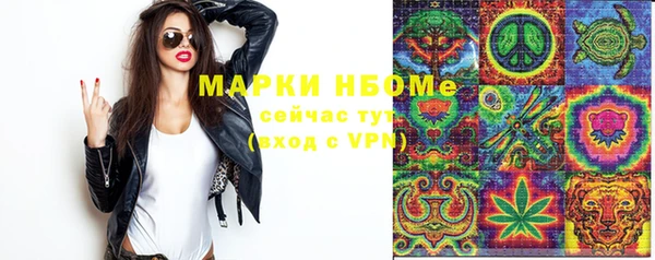 индика Арсеньев