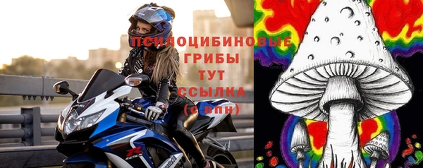 гидра Аркадак