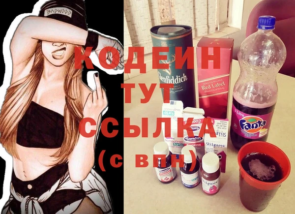 индика Арсеньев