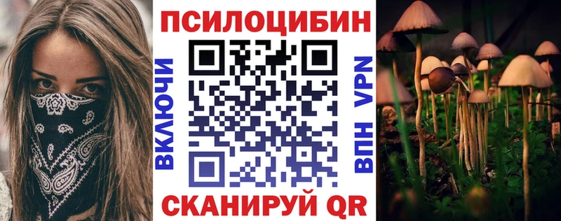 Галлюциногенные грибы мицелий  купить наркоту  Избербаш 